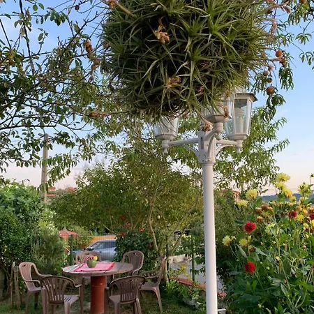 度假居 El Majo Siero